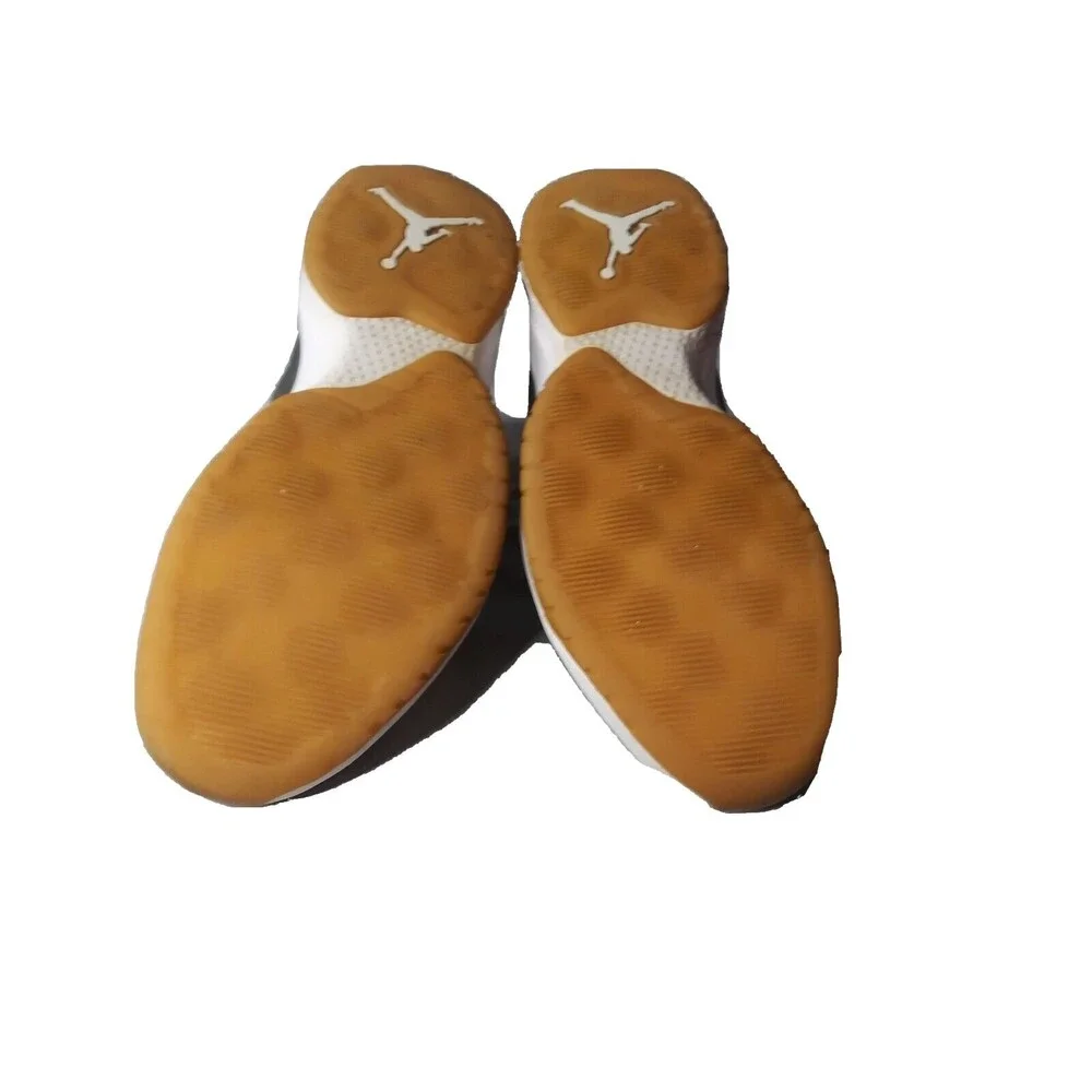 Nike jordan fly
